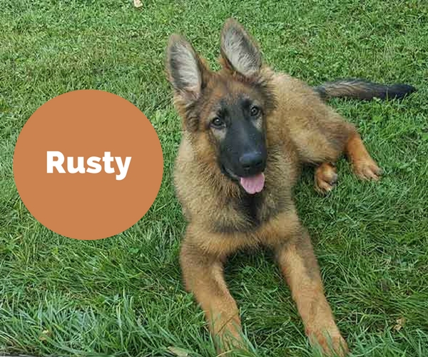 rusty-1.jpg