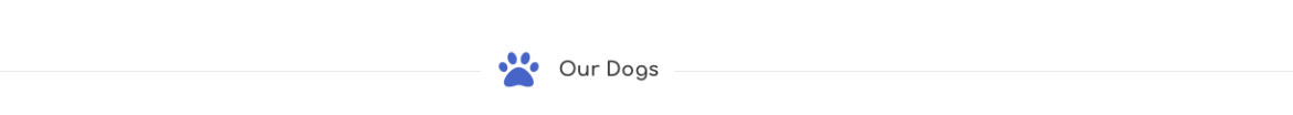 Our-Dogs-2.png