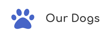Our-Dogs.png
